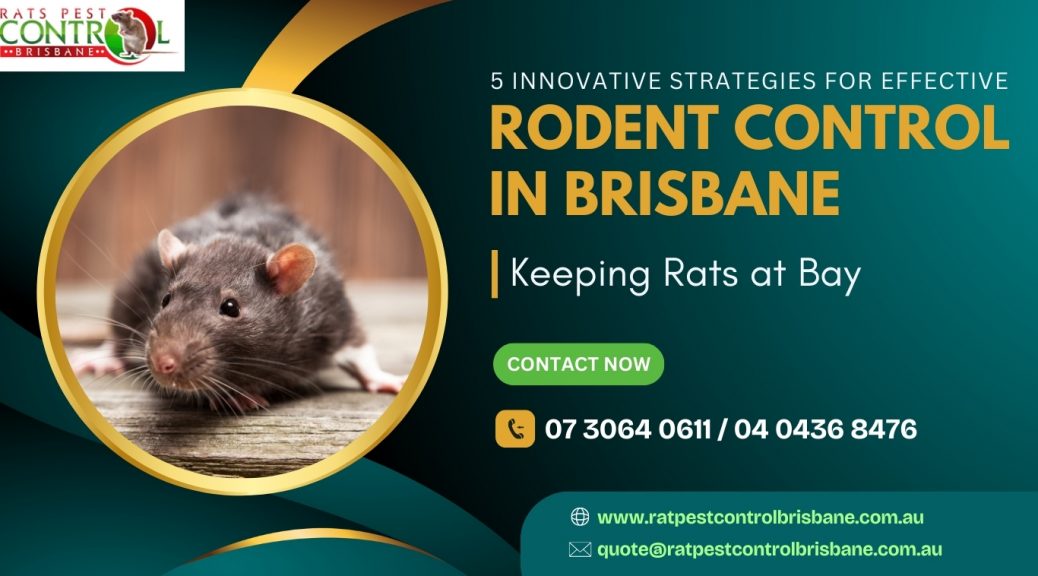 5 Innovative Strategies for Effective Rodent Control in Brisbane: Keeping Rats at Bay