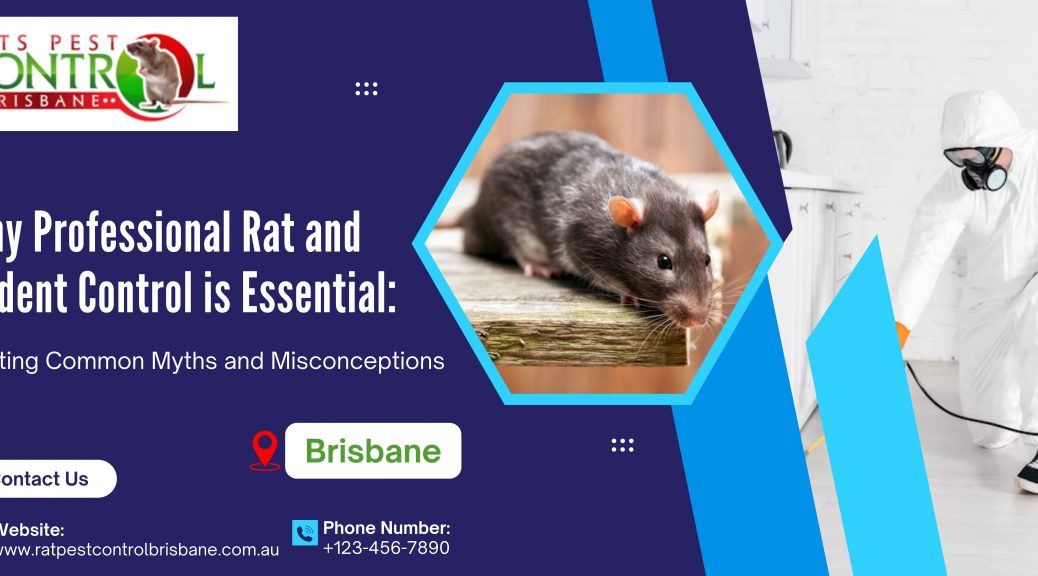 Why Professional Rat and Rodent Control is Essential: Busting Common Myths and Misconceptions