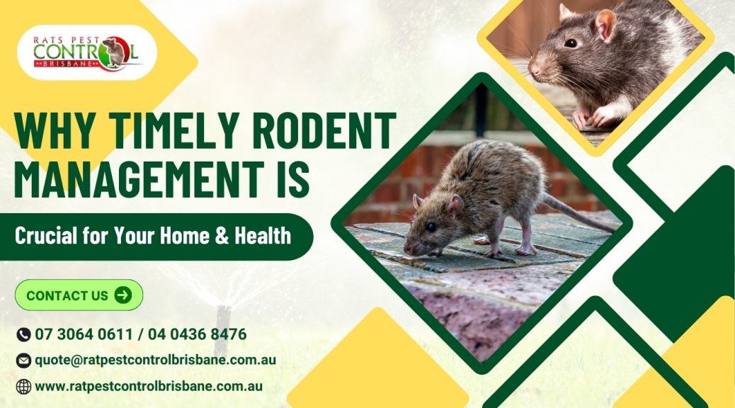 Why Timely Rodent Management is Crucial for Your Home and Health