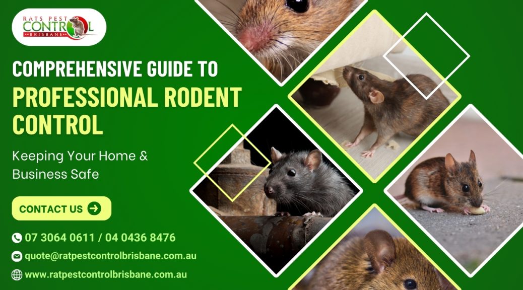 Comprehensive Guide to Professional Rodent Control: Keeping Your Home and Business Safe