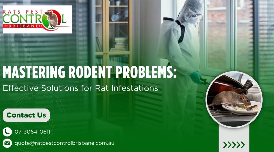 Mastering Rodent Problems: Effective Solutions for Rat Infestations