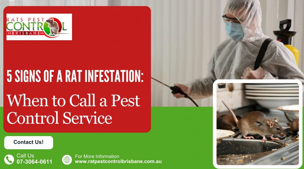 5 Signs of a Rat Infestation: When to Call a Pest Control Service