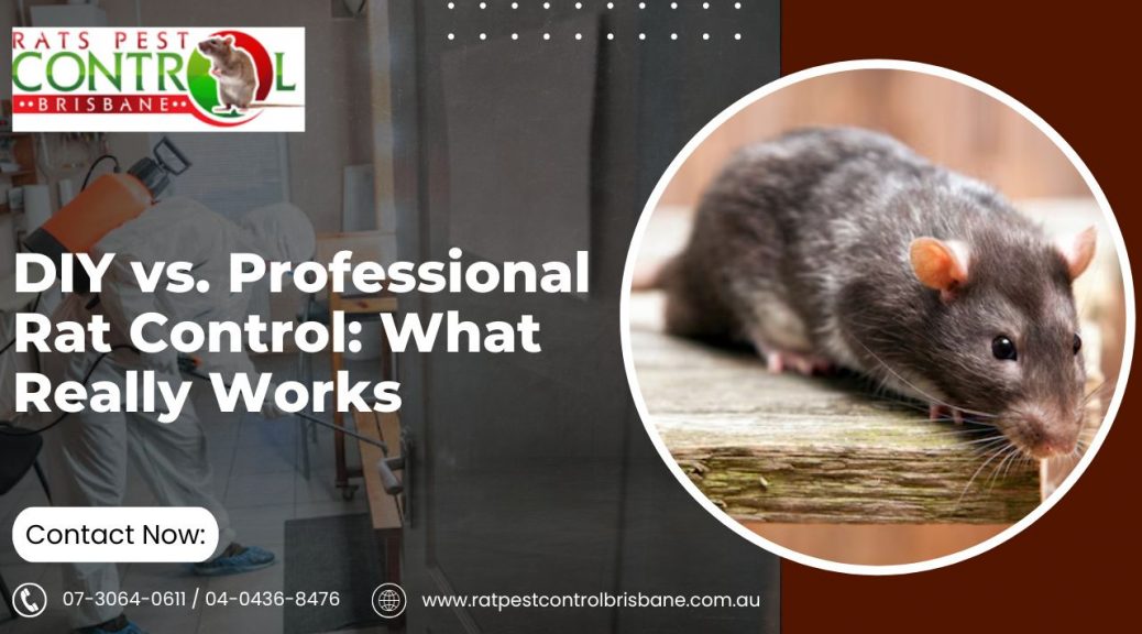 DIY vs. Professional Rat Control: What Really Works